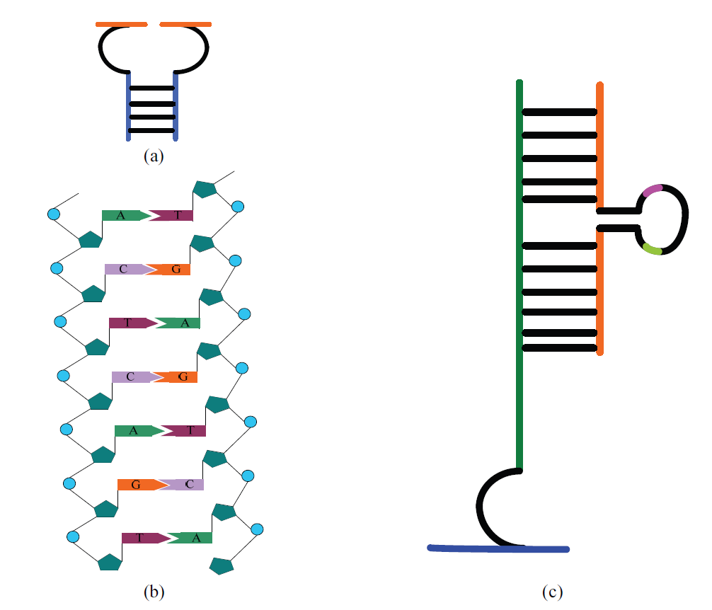 Fig. 3.