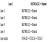 표(Table) 2.