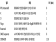 표(Table) 1.